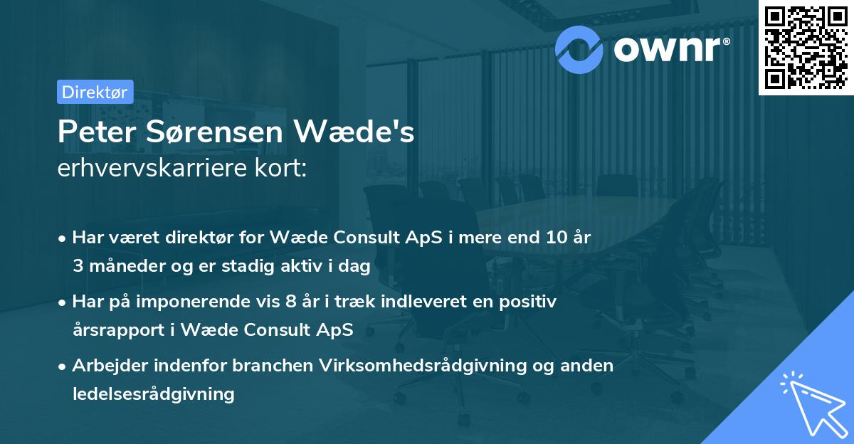 Peter Sørensen Wæde's erhvervskarriere kort