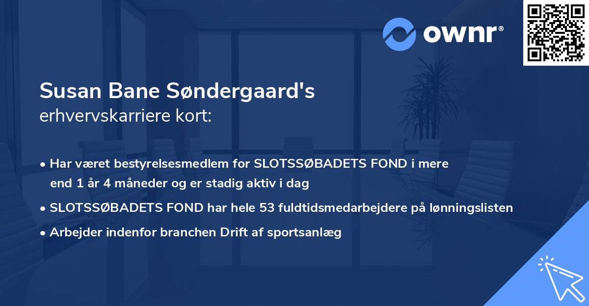 Susan Bane Søndergaard's erhvervskarriere kort