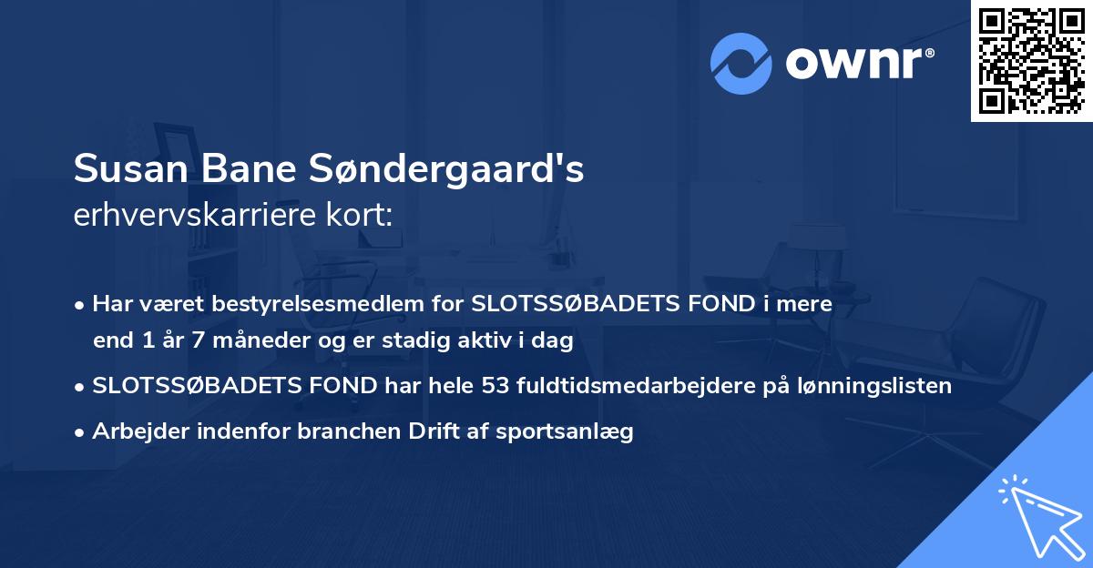 Susan Bane Søndergaard's erhvervskarriere kort