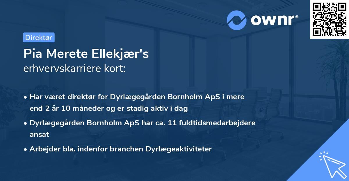 Pia Merete Ellekjær's erhvervskarriere kort