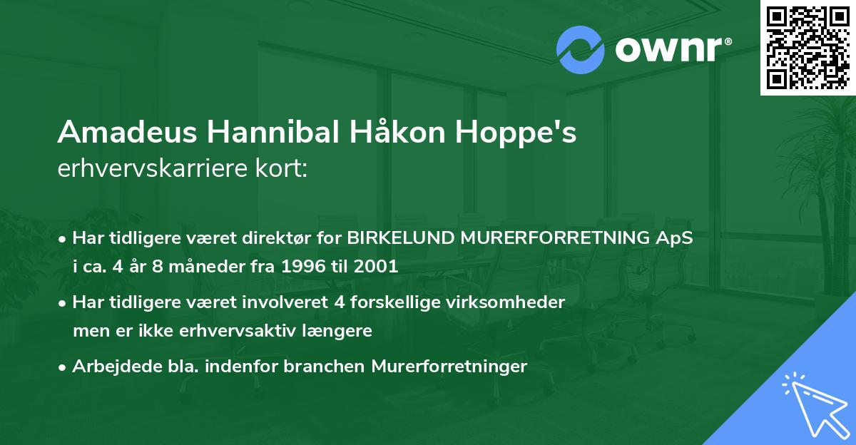 Amadeus Hannibal Håkon Hoppe's erhvervskarriere kort