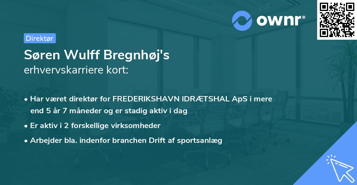 Søren Wulff Bregnhøj's erhvervskarriere kort
