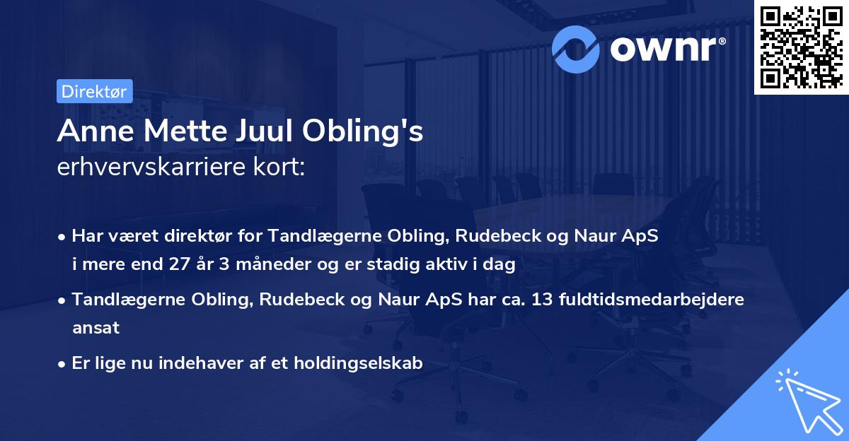 Anne Mette Juul Obling's erhvervskarriere kort