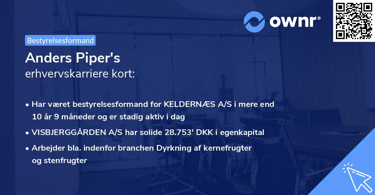 Anders Piper's erhvervskarriere kort