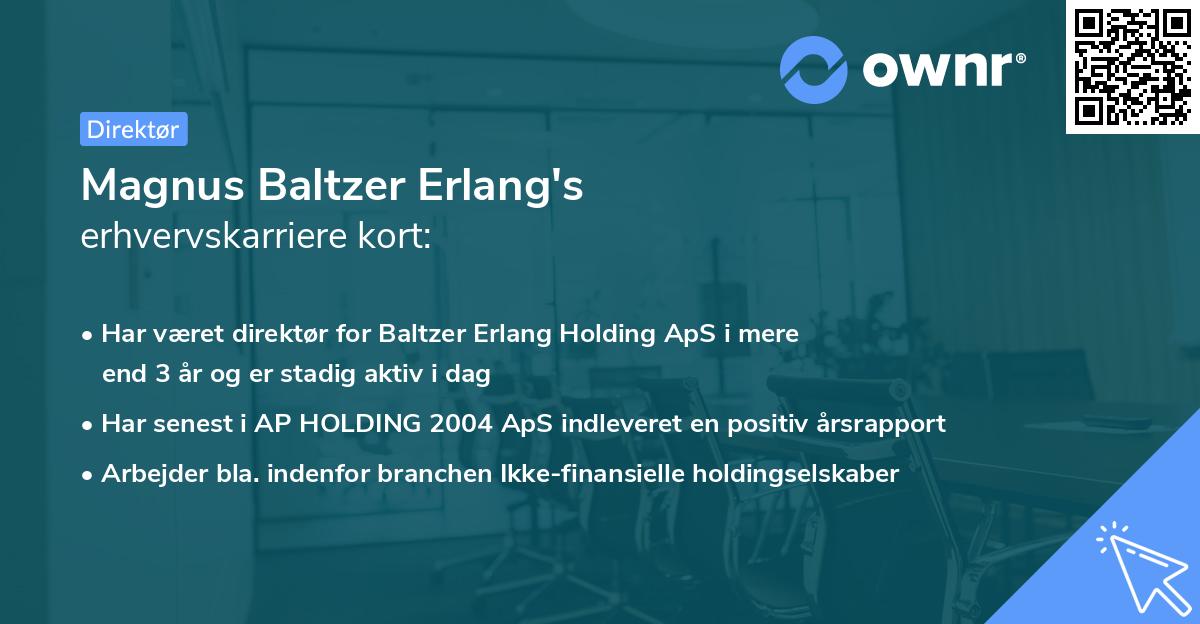 Magnus Baltzer Erlang's erhvervskarriere kort