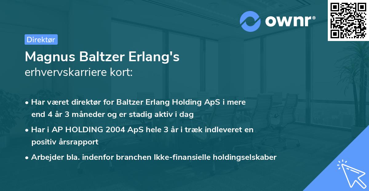 Magnus Baltzer Erlang's erhvervskarriere kort
