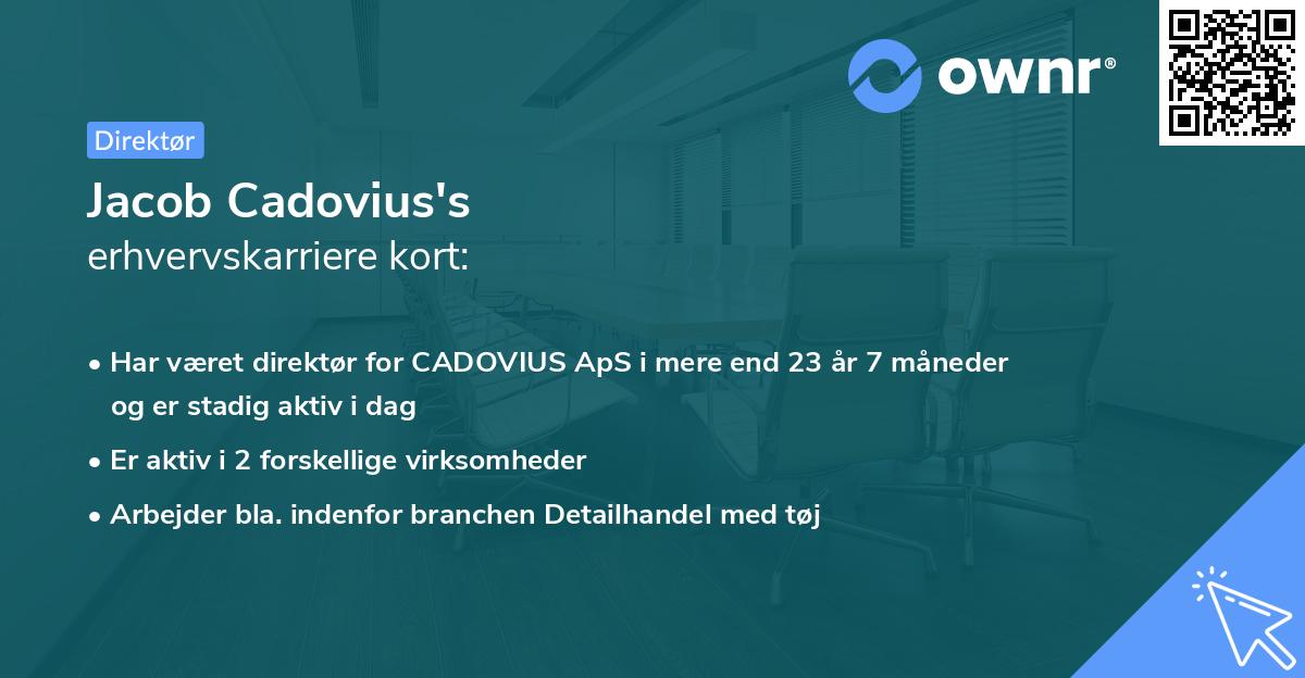 Jacob Cadovius's erhvervskarriere kort