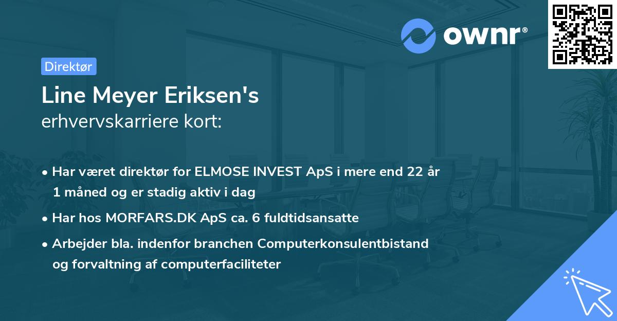 Line Meyer Eriksen's erhvervskarriere kort
