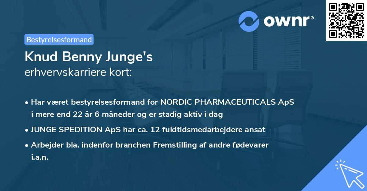 Knud Benny Junge's erhvervskarriere kort