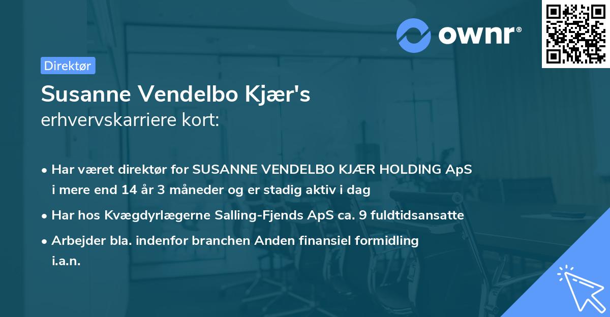 Susanne Vendelbo Kjær's erhvervskarriere kort