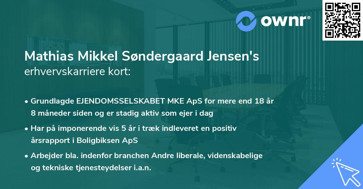 Mathias Mikkel Søndergaard Jensen's erhvervskarriere kort