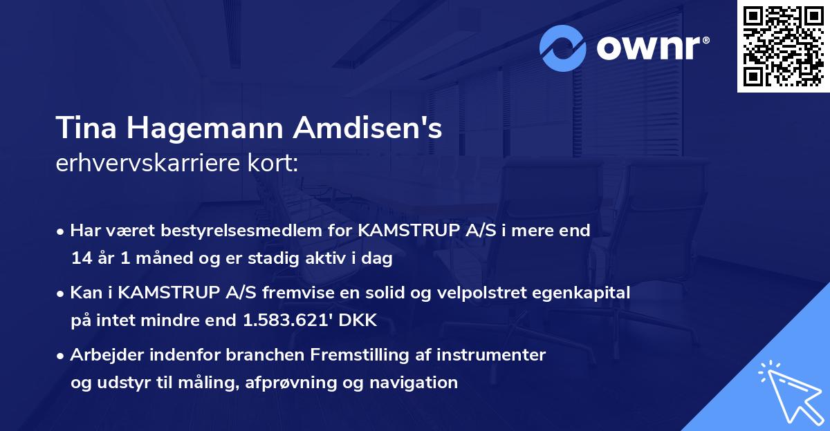 Tina Hagemann Amdisen's erhvervskarriere kort