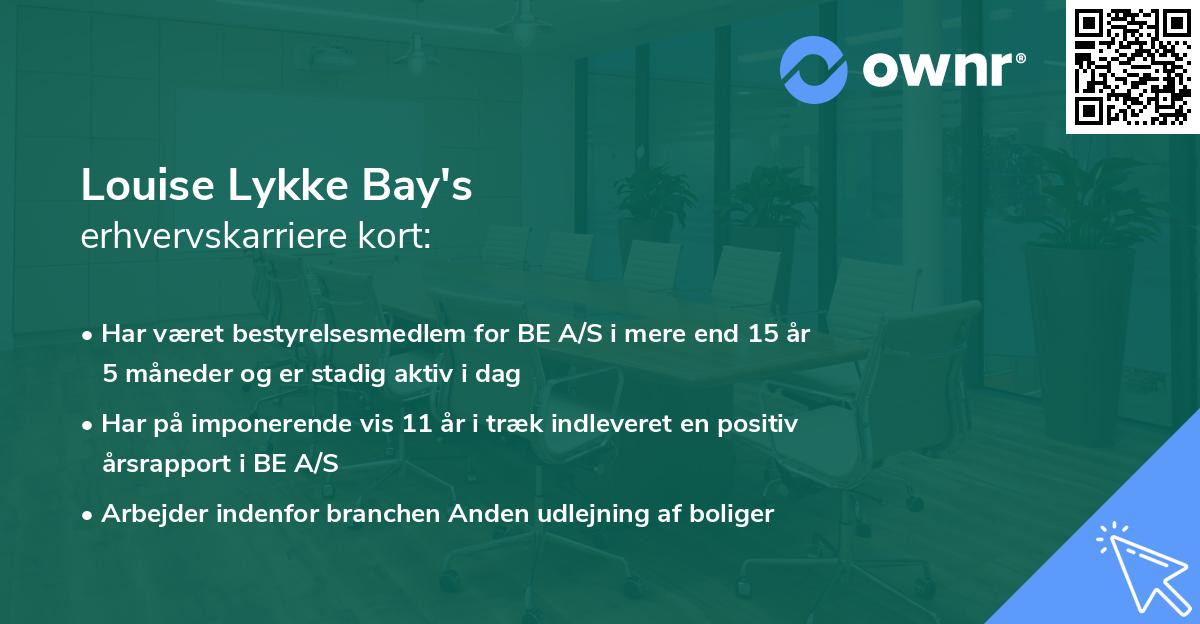 Louise Lykke Bay's erhvervskarriere kort