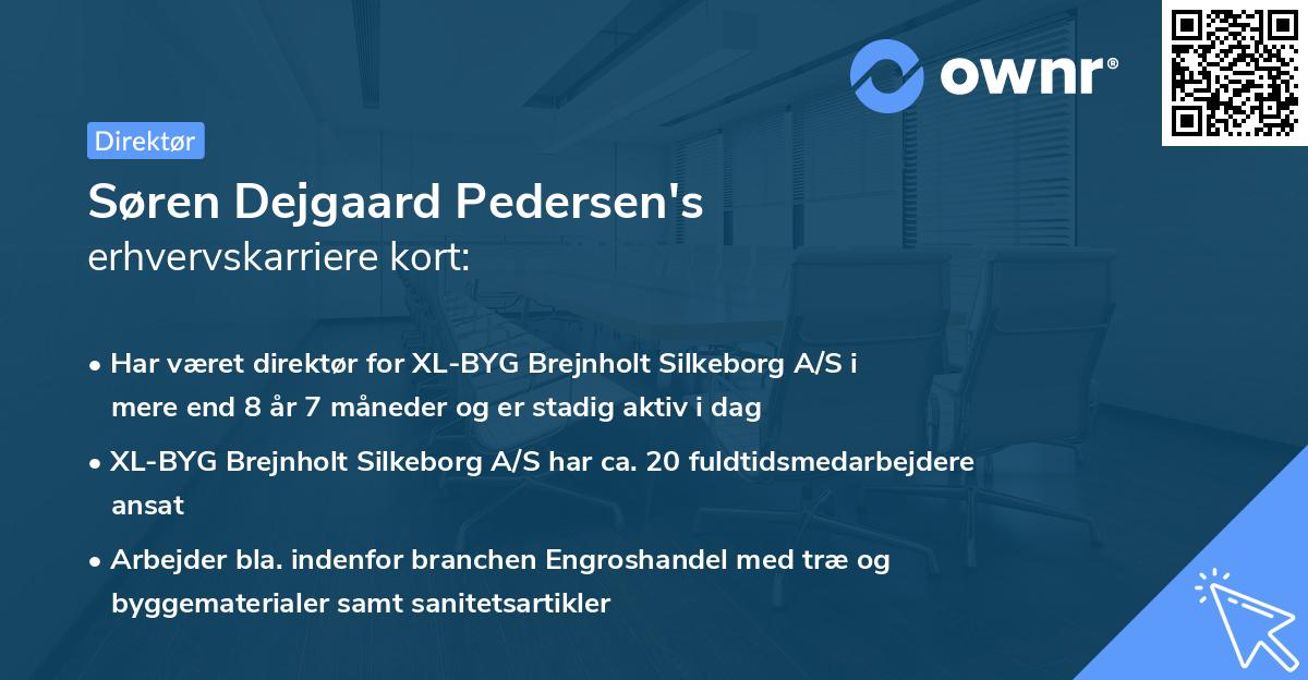 Søren Dejgaard Pedersen's erhvervskarriere kort