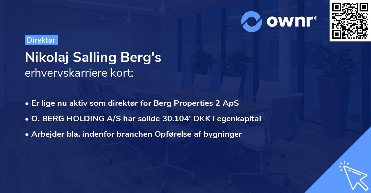 Nikolaj Salling Berg's erhvervskarriere kort