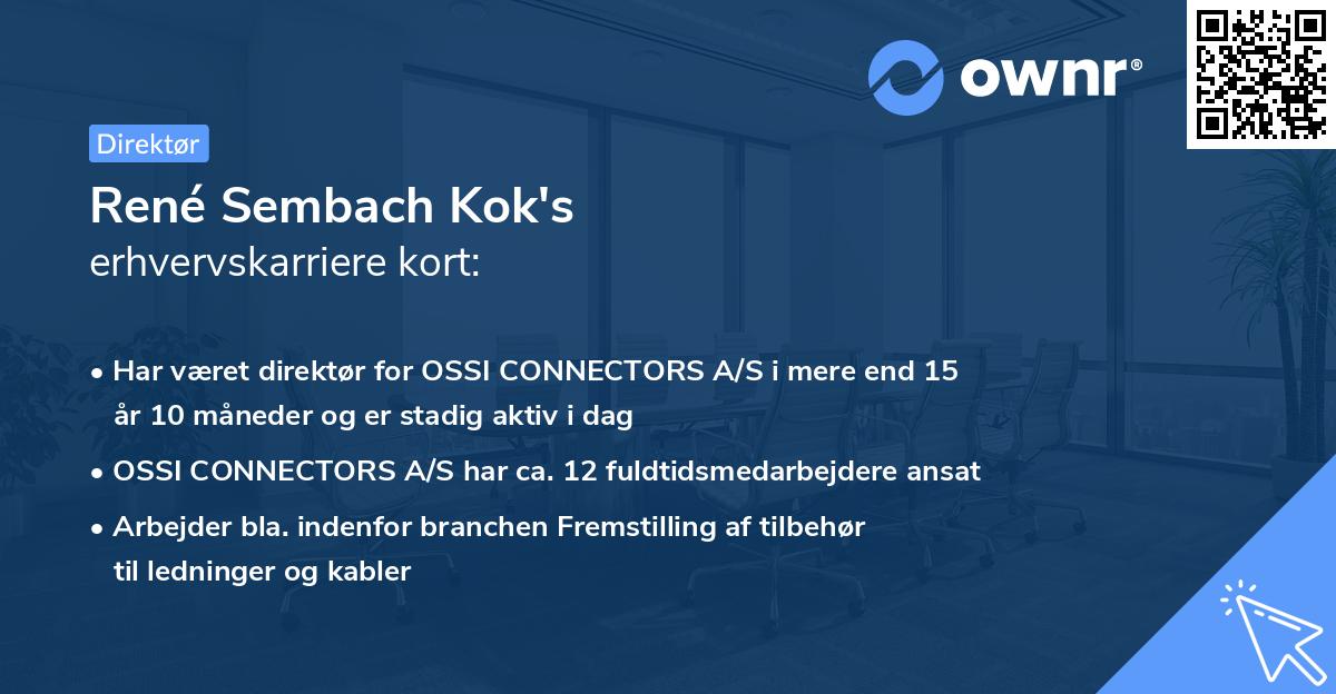 René Sembach Kok's erhvervskarriere kort