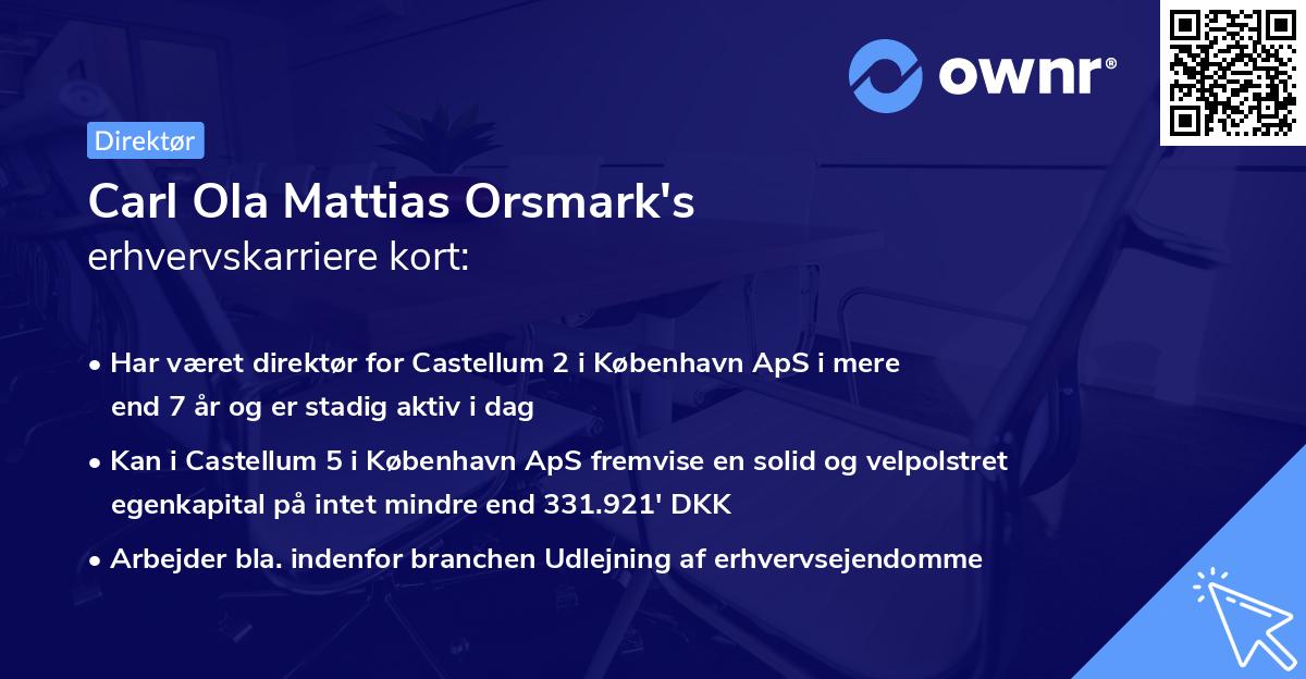 Carl Ola Mattias Orsmark's erhvervskarriere kort