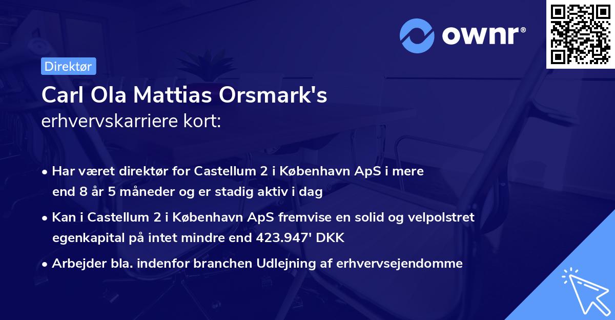 Carl Ola Mattias Orsmark's erhvervskarriere kort