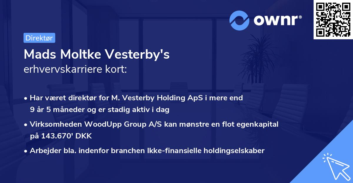 Mads Moltke Vesterby's erhvervskarriere kort