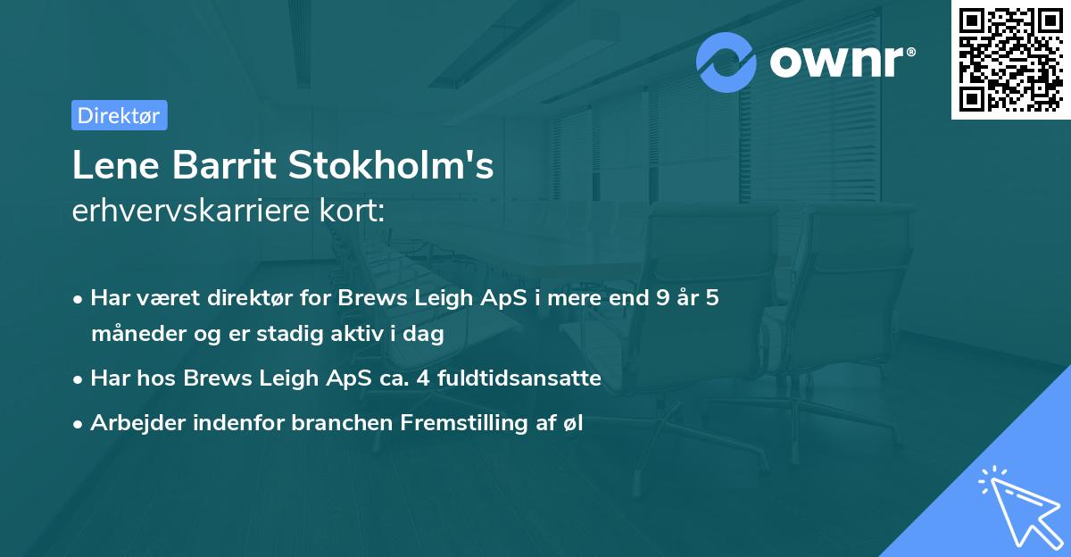 Lene Barrit Stokholm's erhvervskarriere kort
