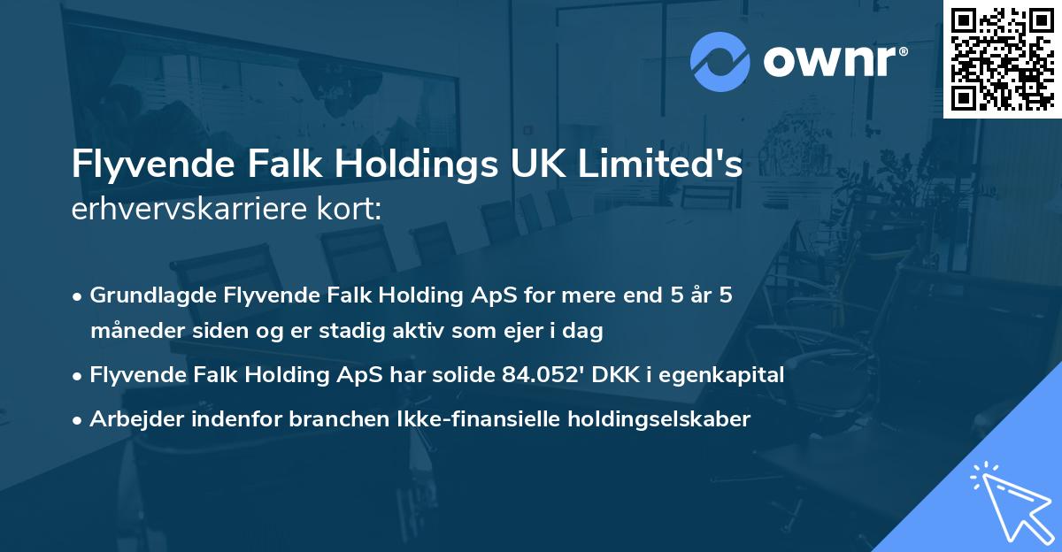 Flyvende Falk Holdings UK Limited's erhvervskarriere kort