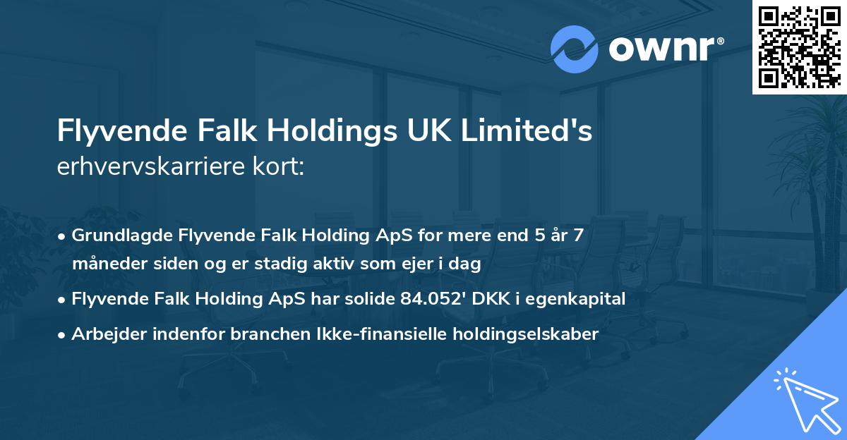 Flyvende Falk Holdings UK Limited's erhvervskarriere kort