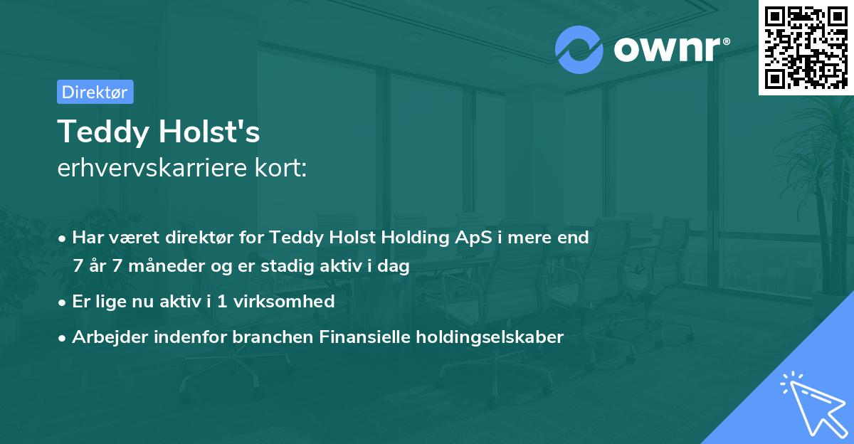 Teddy Holst's erhvervskarriere kort