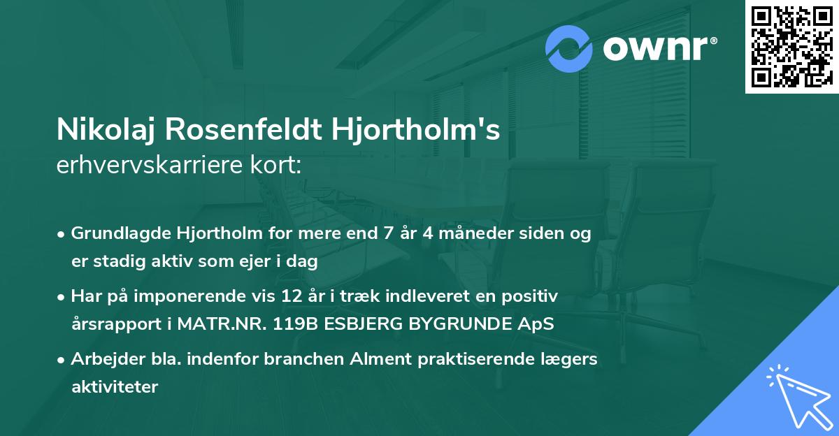 Nikolaj Rosenfeldt Hjortholm's erhvervskarriere kort