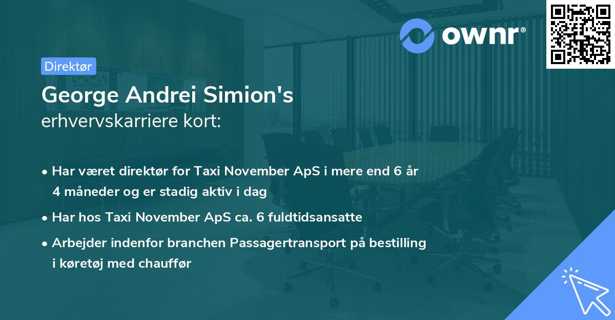 George Andrei Simion's erhvervskarriere kort