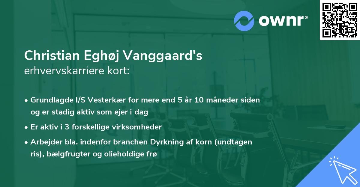 Christian Eghøj Vanggaard's erhvervskarriere kort