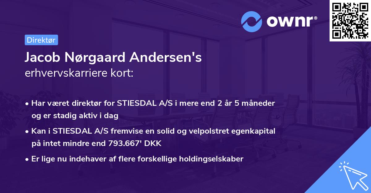 Jacob Nørgaard Andersen's erhvervskarriere kort