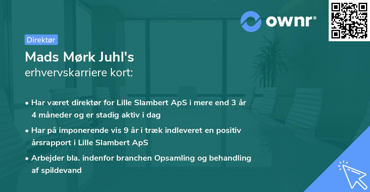 Mads Mørk Juhl's erhvervskarriere kort