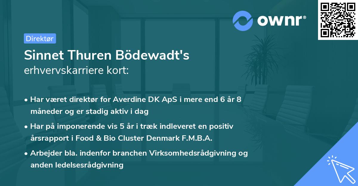 Sinnet Thuren Bödewadt's erhvervskarriere kort