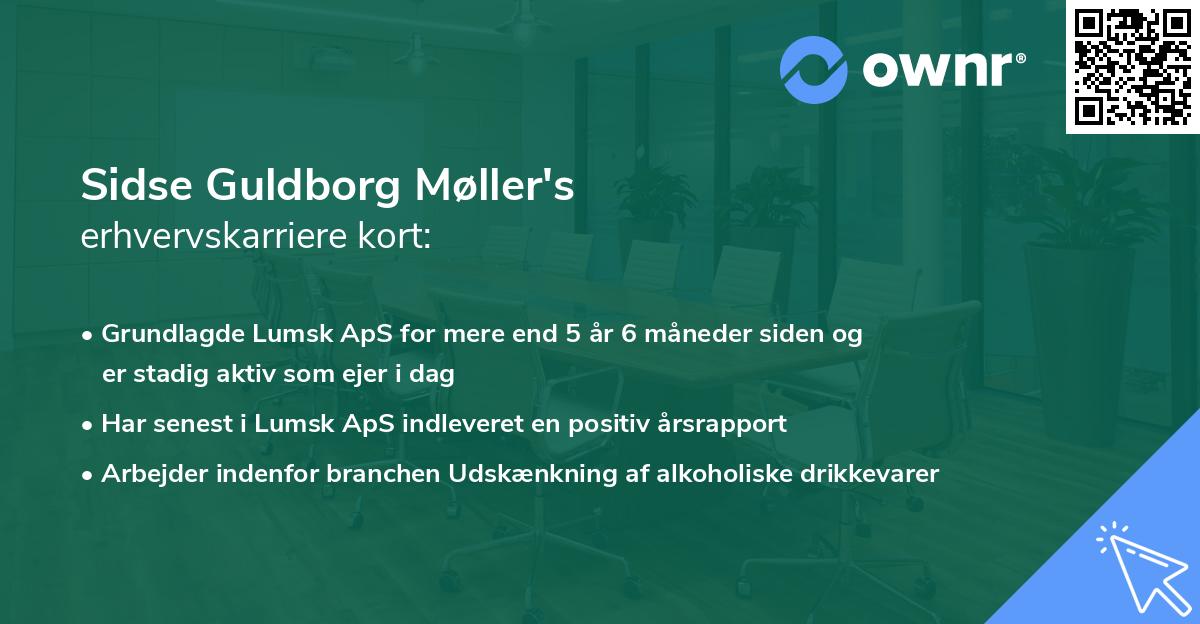 Sidse Guldborg Møller's erhvervskarriere kort