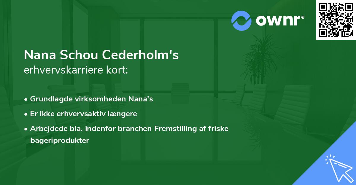 Nana Schou Cederholm's erhvervskarriere kort