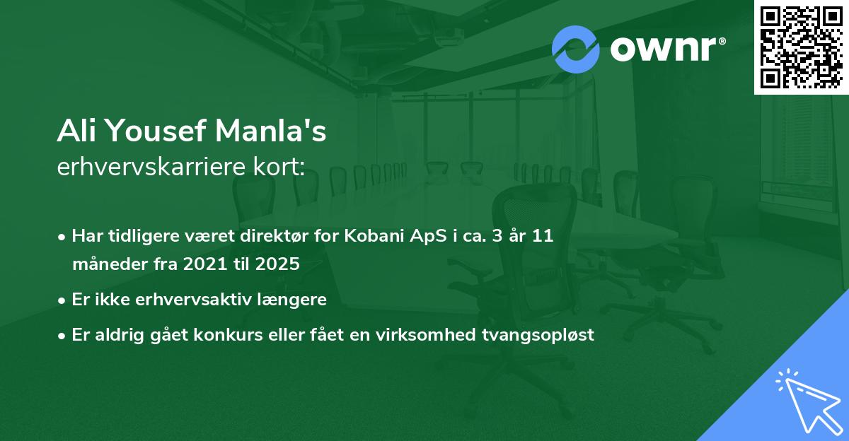 Ali Yousef Manla's erhvervskarriere kort