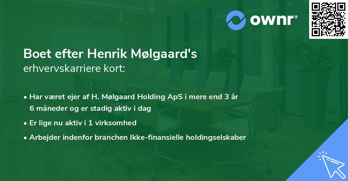 Boet efter Henrik Mølgaard's erhvervskarriere kort