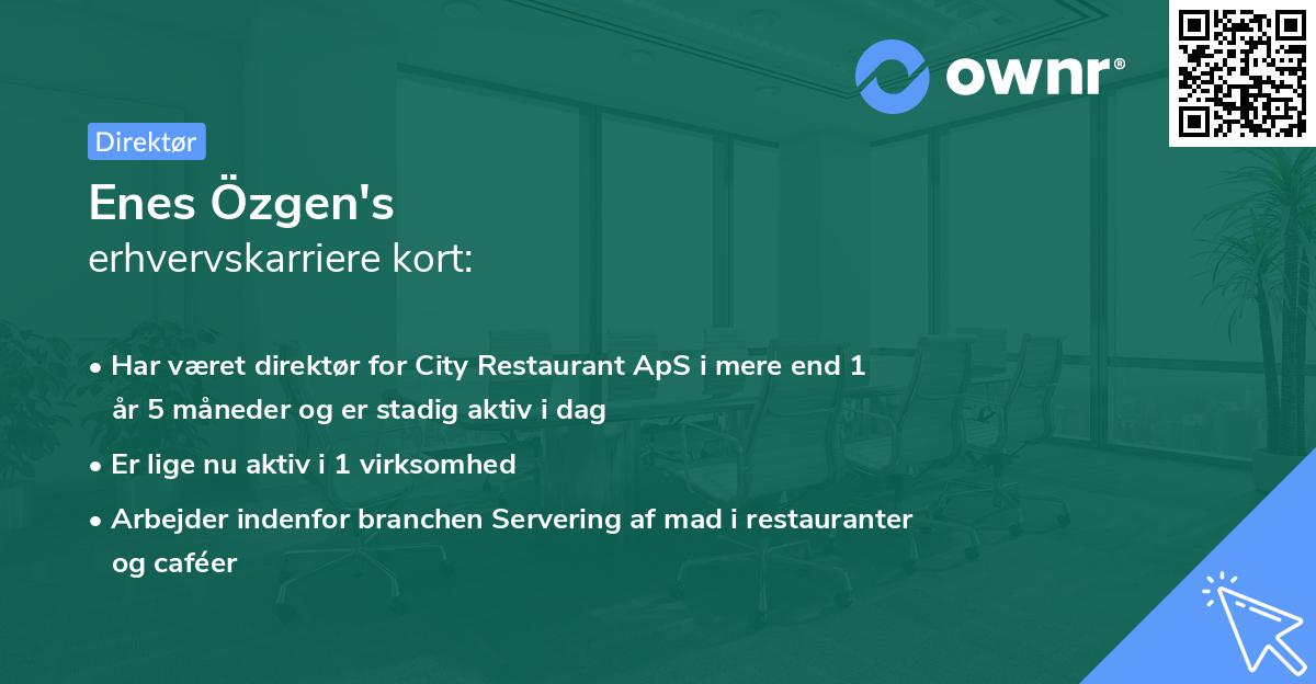 Enes Özgen's erhvervskarriere kort