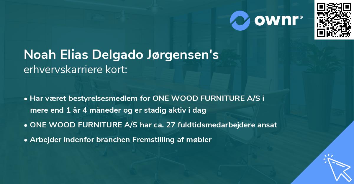 Noah Elias Delgado Jørgensen's erhvervskarriere kort