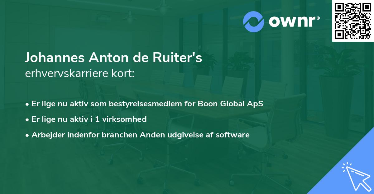 Johannes Anton de Ruiter's erhvervskarriere kort