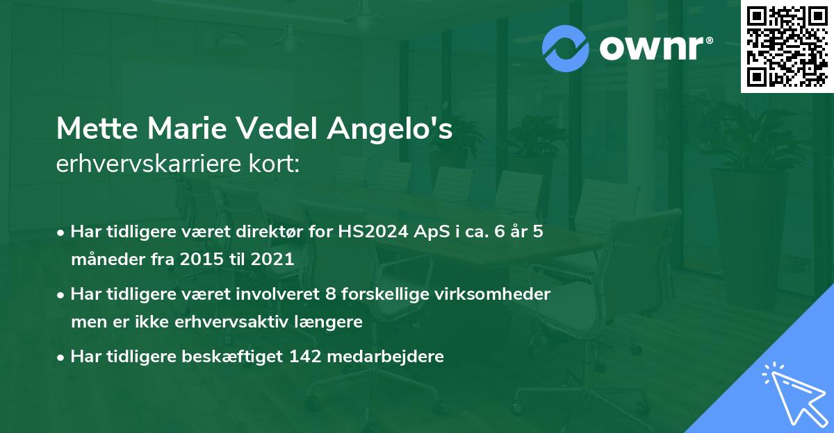 Mette Marie Vedel Angelo's erhvervskarriere kort