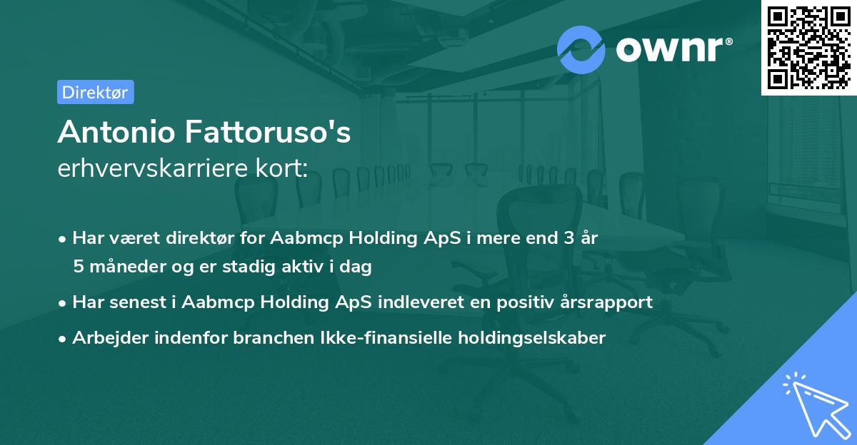 Antonio Fattoruso's erhvervskarriere kort