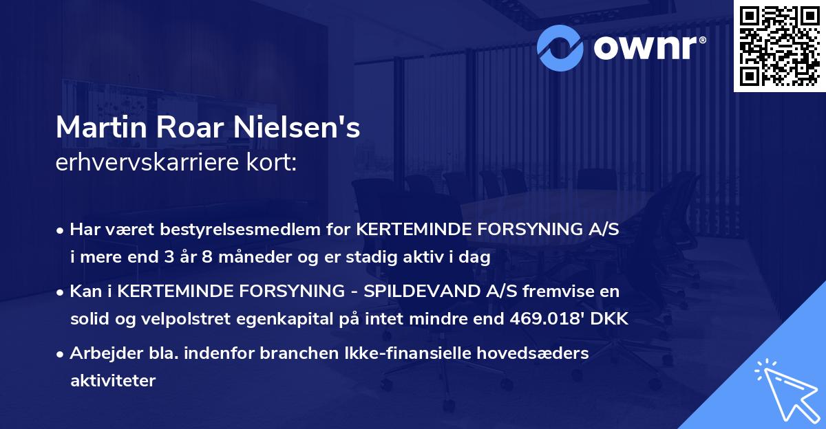Martin Roar Nielsen's erhvervskarriere kort