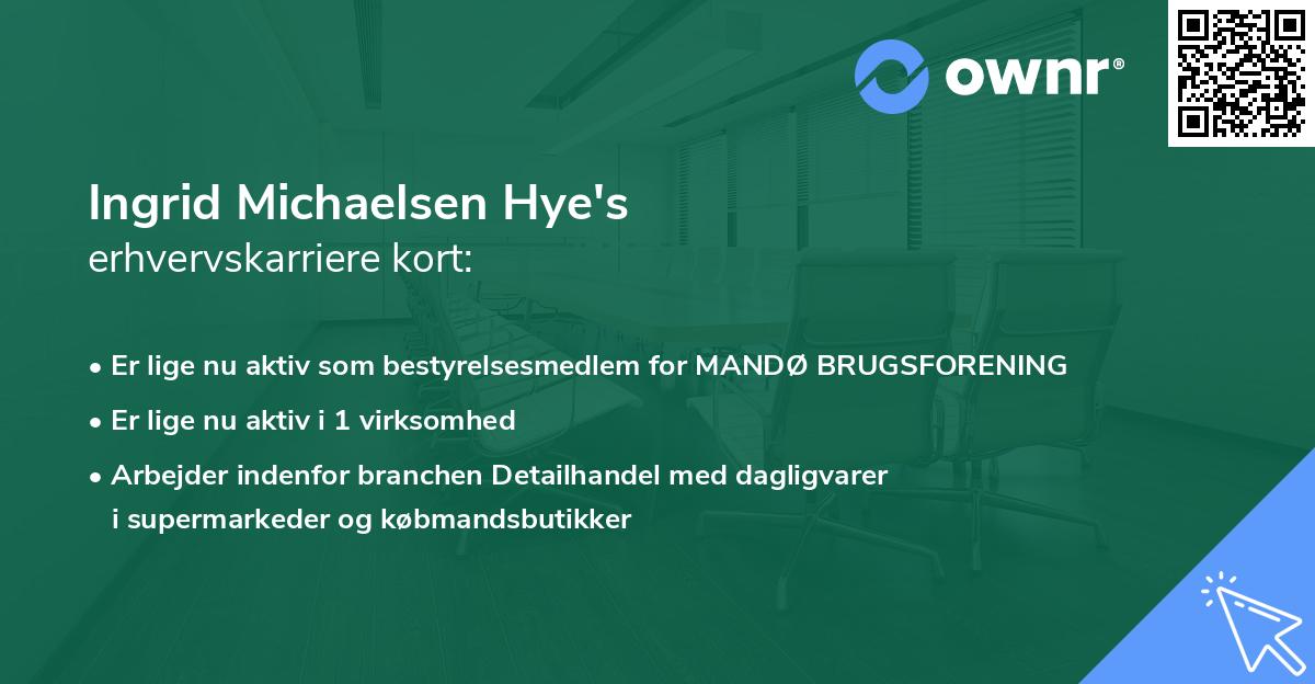Ingrid Michaelsen Hye's erhvervskarriere kort
