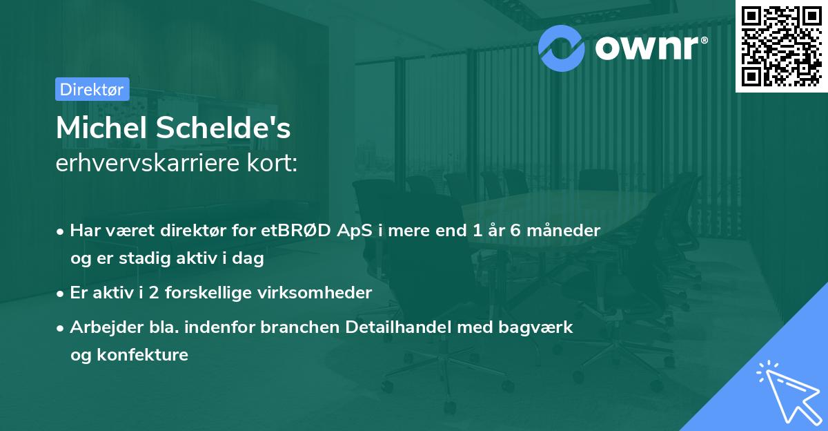 Michel Schelde's erhvervskarriere kort