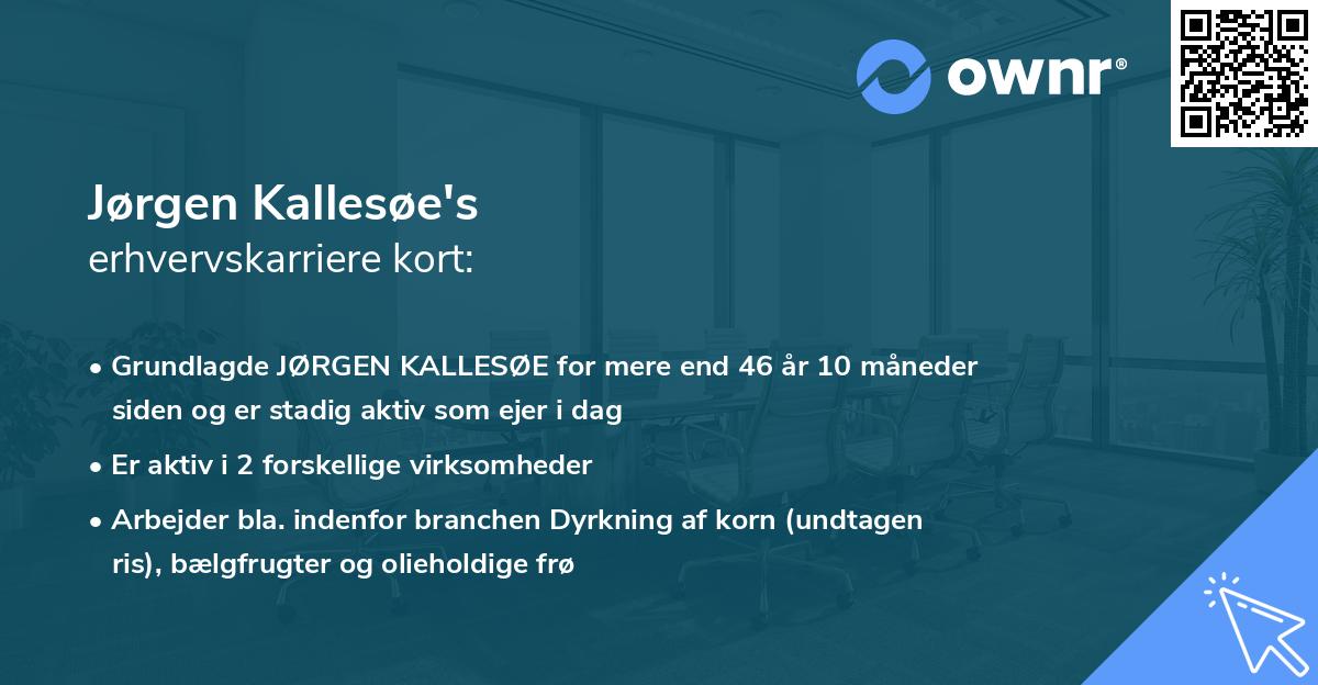 Jørgen Kallesøe's erhvervskarriere kort