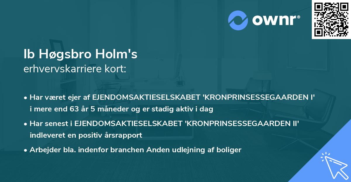 Ib Høgsbro Holm's erhvervskarriere kort