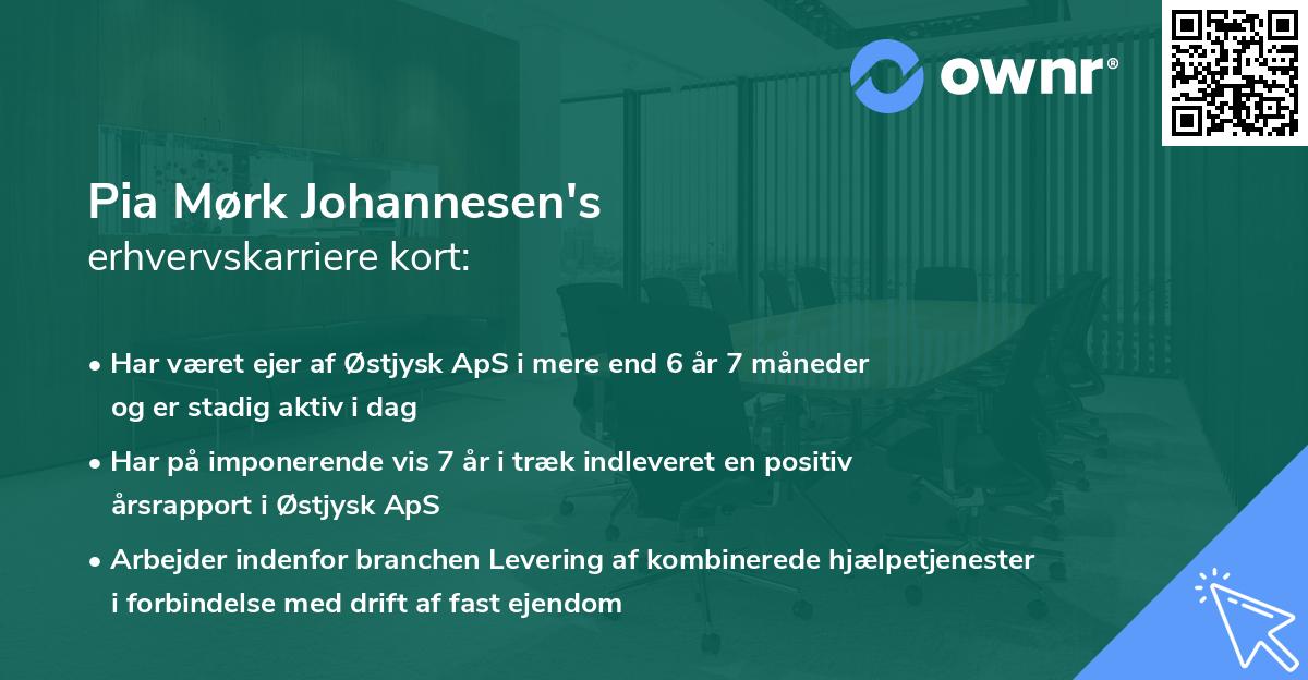 Pia Mørk Johannesen's erhvervskarriere kort