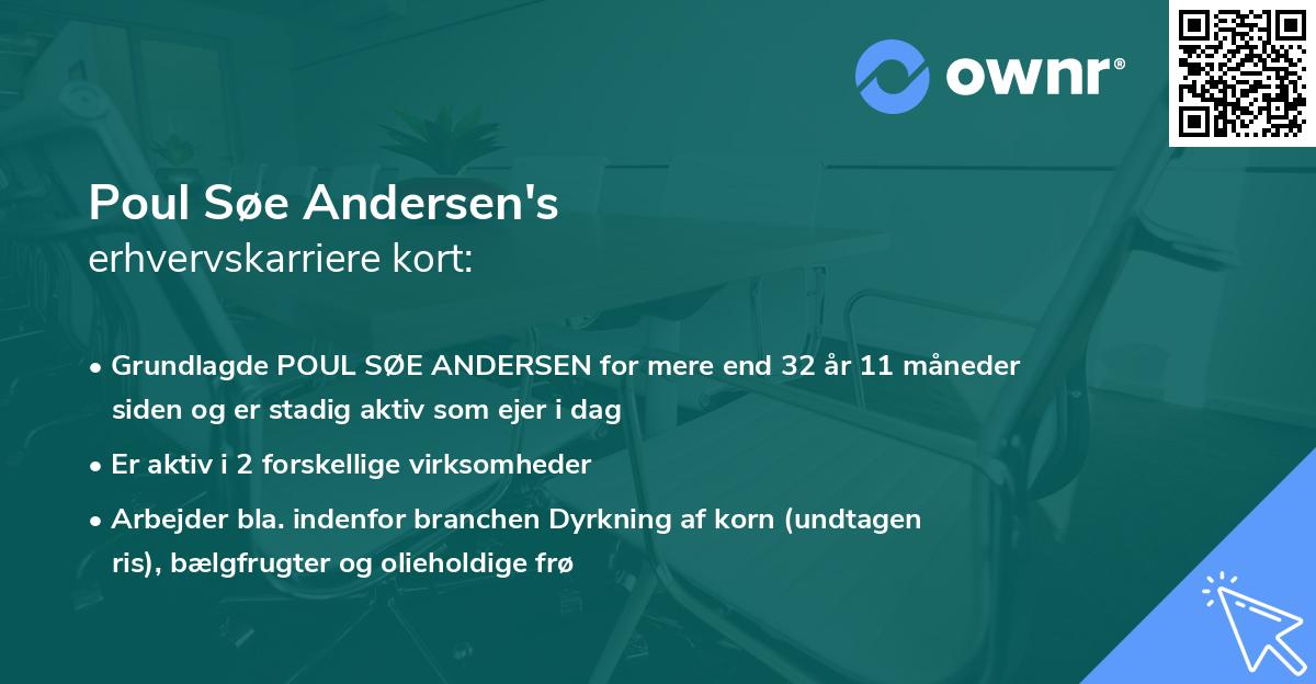 Poul Søe Andersen's erhvervskarriere kort
