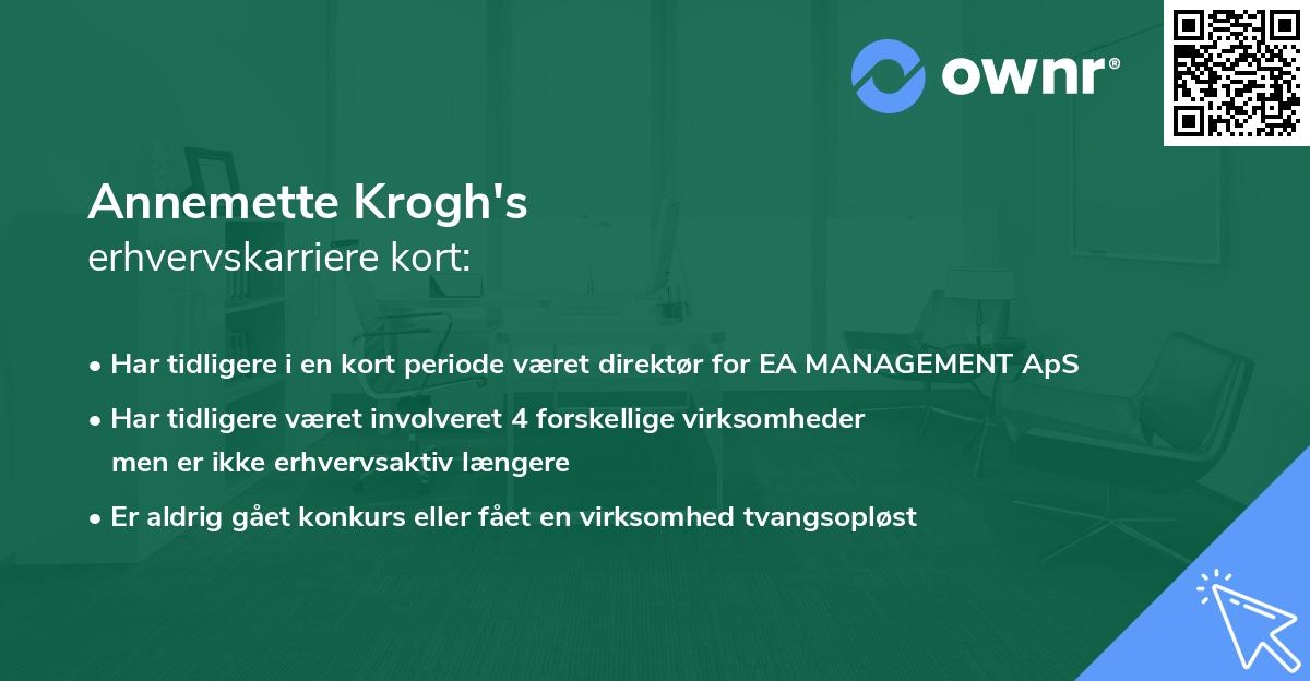 Annemette Krogh's erhvervskarriere kort